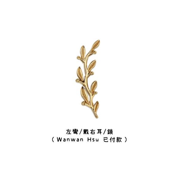客訂BVLA - Amity(大) 40en歐美耳飾,歐美耳環,14K耳環,不過敏耳環,歐美風格,14k純金,輕奢耳飾,鈦金屬,鈦合金