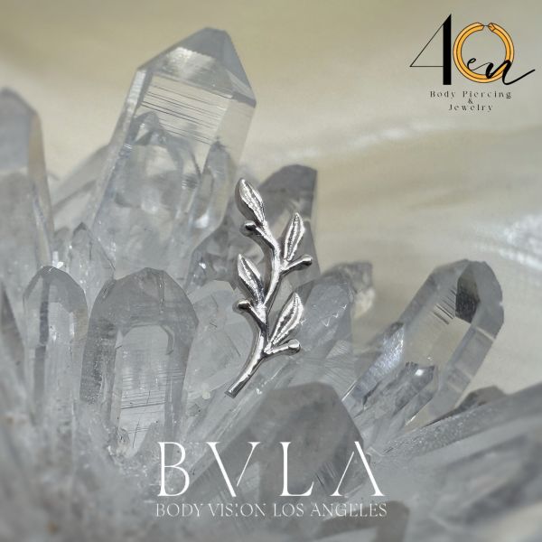 BVLA - Amity(迷你) 40en歐美耳飾,歐美耳環,14K耳環,不過敏耳環,歐美風格,14k純金,輕奢耳飾,鈦金屬,鈦合金