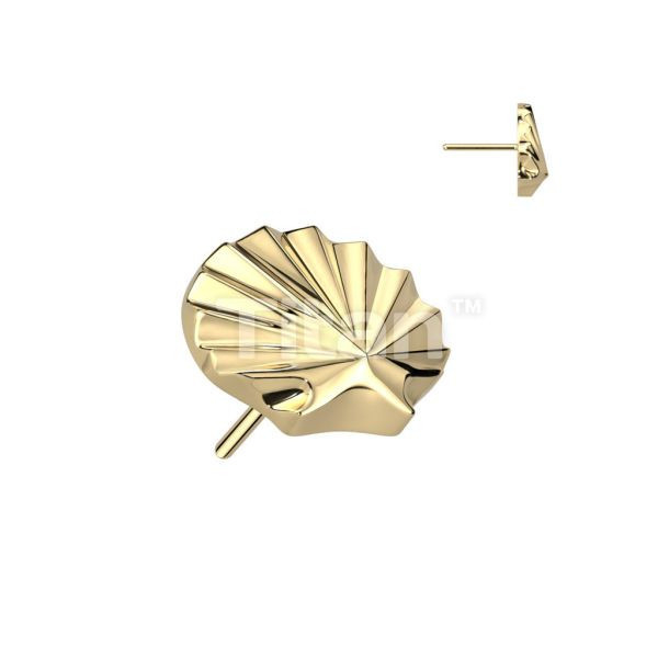 24K PVD-放射貝殼 40en歐美耳飾,歐美耳環,14K耳環,不過敏耳環,歐美風格,14k純金,輕奢耳飾,鈦金屬,鈦合金