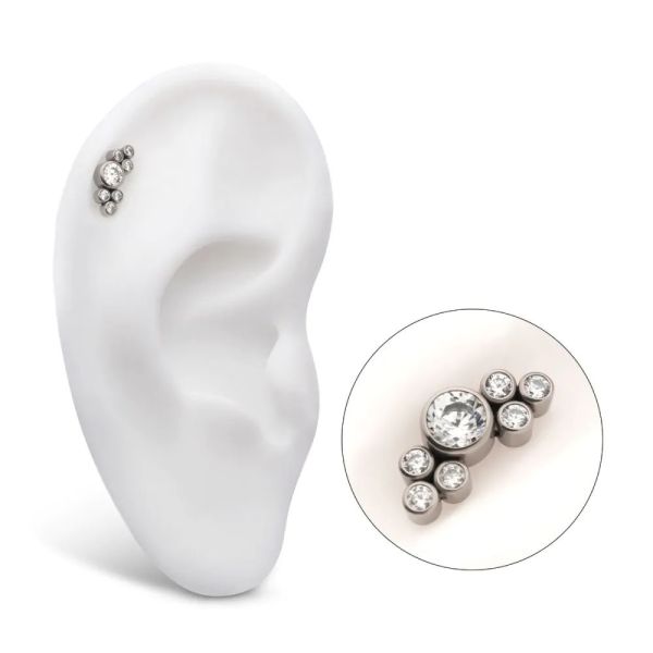 Ti-圓鑽花簇 40en歐美耳飾,歐美耳環,14K耳環,不過敏耳環,歐美風格,14k純金,輕奢耳飾,鈦金屬,鈦合金