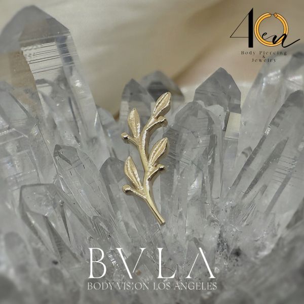 客訂BVLA - Amity(小) 40en歐美耳飾,歐美耳環,14K耳環,不過敏耳環,歐美風格,14k純金,輕奢耳飾,鈦金屬,鈦合金