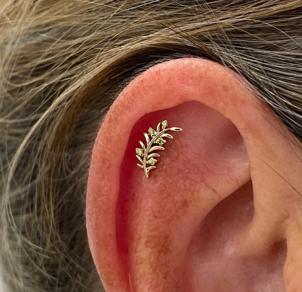 Junipurr-橄欖綠枝葉 40en歐美耳飾,歐美耳環,14K耳環,不過敏耳環,歐美風格,19k純金,輕奢耳飾,實驗室培育鑽