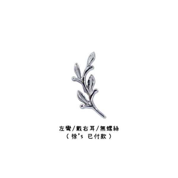 客訂BVLA - Amity 40en歐美耳飾,歐美耳環,14K耳環,不過敏耳環,歐美風格,14k純金,輕奢耳飾,鈦金屬,鈦合金