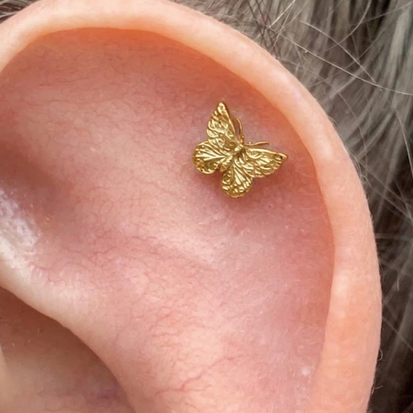 Anatometal-14K刻紋蝴蝶 40en歐美耳飾,歐美耳環,14K耳環,不過敏耳環,歐美風格,19k純金,輕奢耳飾,實驗室培育鑽