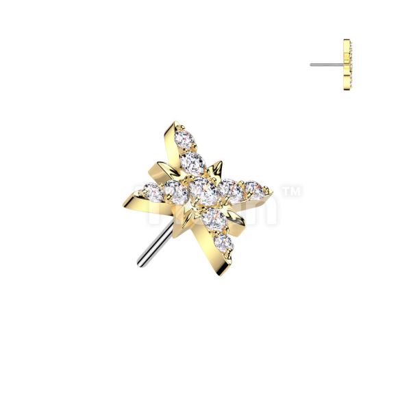 24K PVD-滿鑽閃耀 40en歐美耳飾,歐美耳環,14K耳環,不過敏耳環,歐美風格,14k純金,輕奢耳飾,鈦金屬,鈦合金
