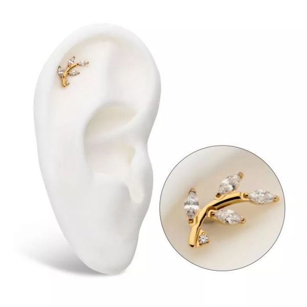 24K PVD- 經典月桂葉 40en歐美耳飾,歐美耳環,14K耳環,不過敏耳環,歐美風格,14k純金,輕奢耳飾,實驗室培育鑽