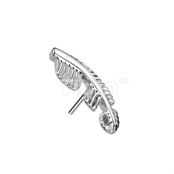 Ti-浪漫之羽 40en歐美耳飾,歐美耳環,14K耳環,不過敏耳環,歐美風格,14k純金,輕奢耳飾,鈦金屬,鈦合金