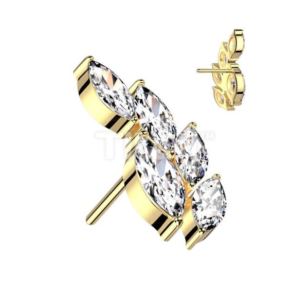 24K PVD-五梨鑽羽毛 40en歐美耳飾,歐美耳環,14K耳環,不過敏耳環,歐美風格,14k純金,輕奢耳飾,鈦金屬,鈦合金