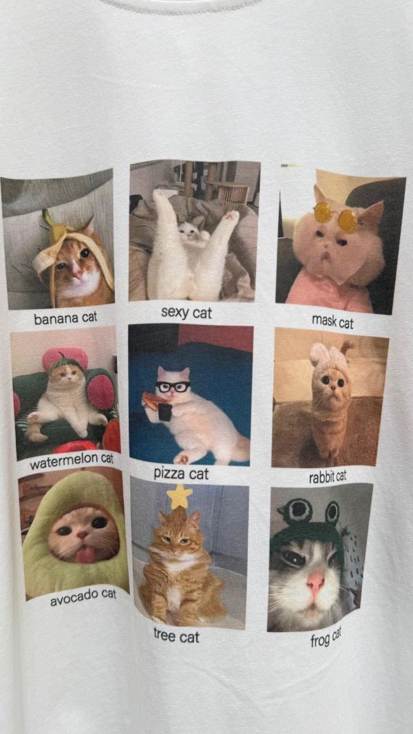 【9宮格可愛喵咪大T】 