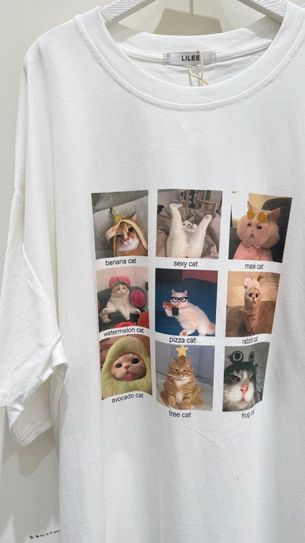 【9宮格可愛喵咪大T】 