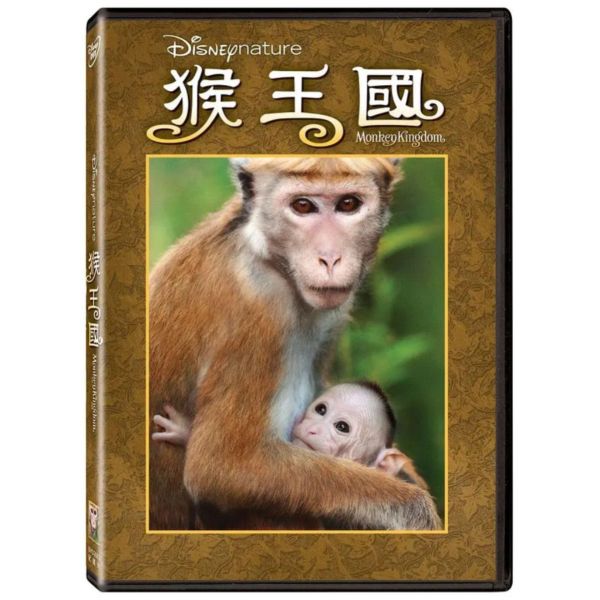猴王國－DVD (1片／套)-得利 