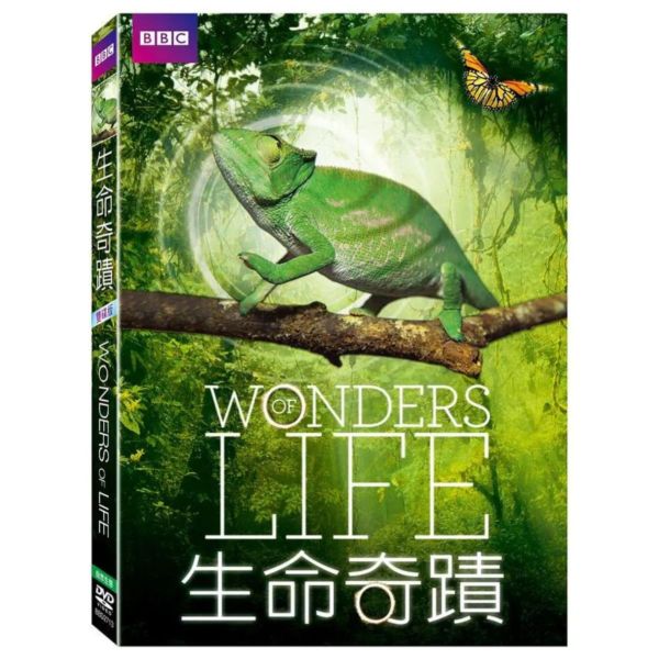 生命奇蹟－DVD (2片／套)-得利 