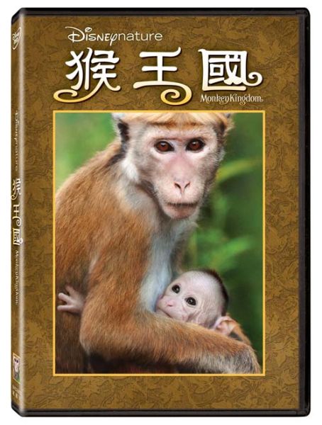 猴王國－DVD (1片／套)-得利 