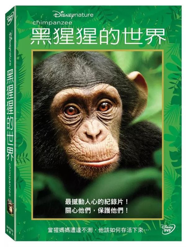 黑猩猩的世界－DVD (1片／套) 