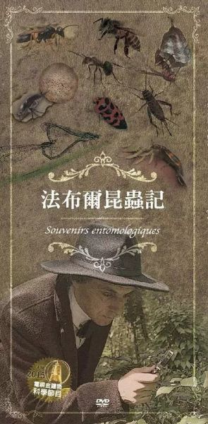 法布爾昆蟲記－DVD (5片／10集／套)-蜻蜓 