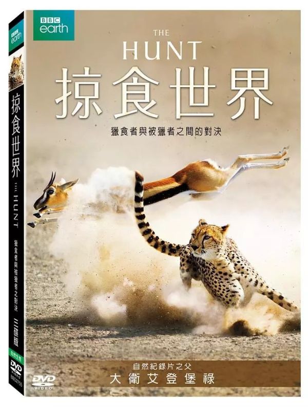 掠食世界－DVD (3片／8集／套)-得利 