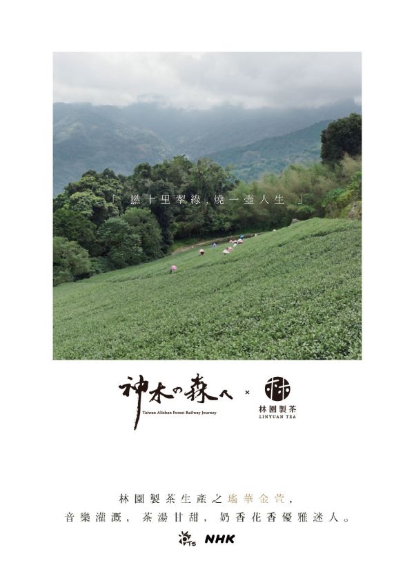 神木之森 × 林園製茶 聯名阿里山瑤華金萱茶葉禮盒 