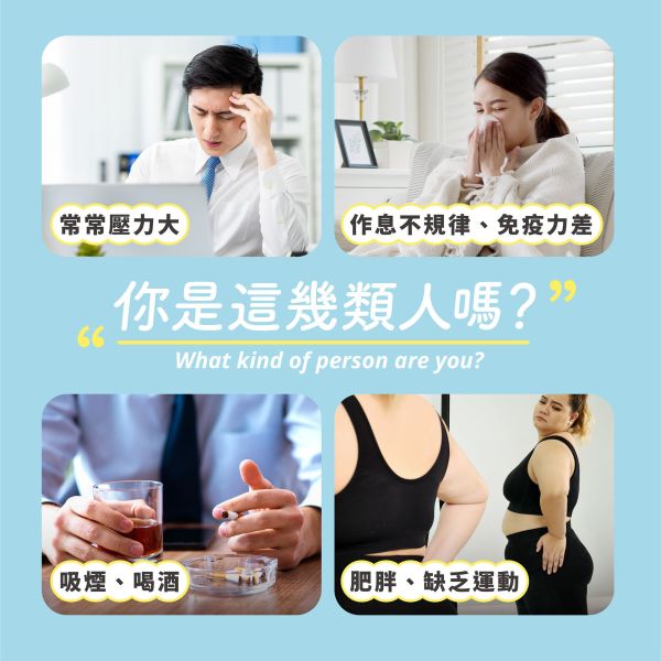 植孅舒壓養生茶 
