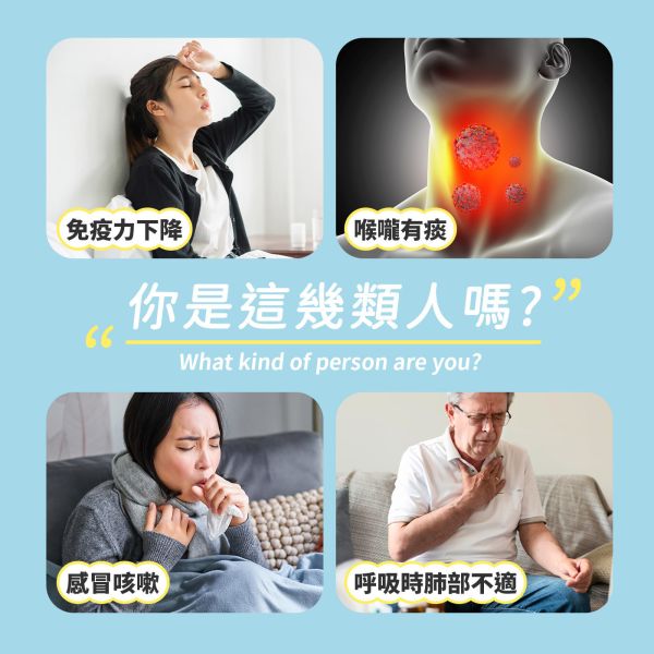 植孅費益清養生茶 