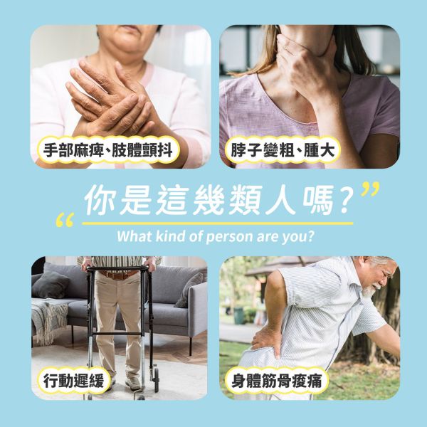 植孅帕巴金養生茶 