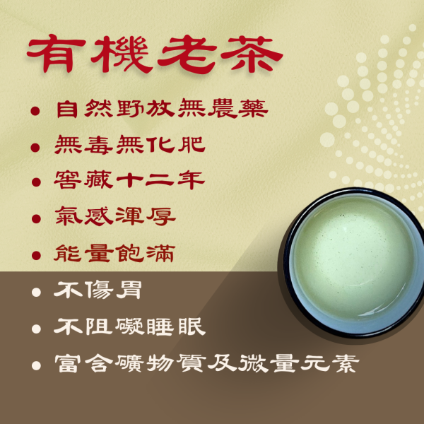 老茶心經療癒組合 