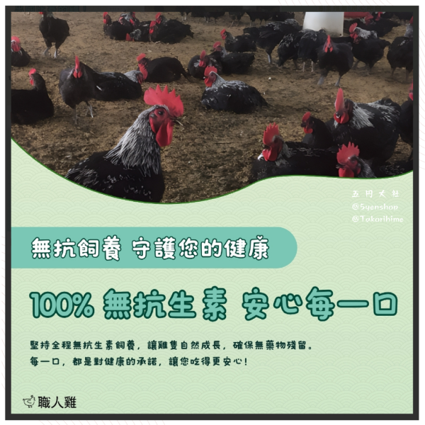 養氣組合 