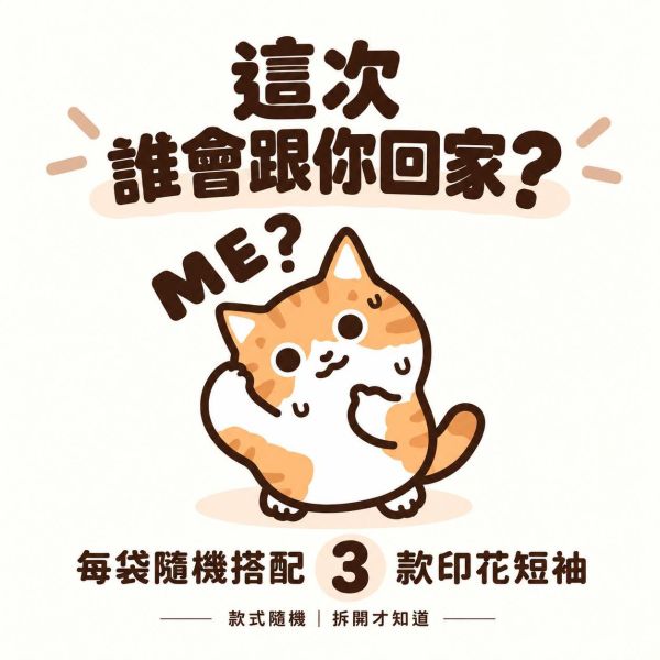 JZ TEE 驚喜福袋｜印花短袖 3件 JZ TEE,驚喜福袋,短袖福袋,T恤福袋,印花短袖,印花T恤,短袖T恤,貓咪T恤,插畫T恤,台灣原創T恤,福袋,服飾福袋,隨機福袋,短T
