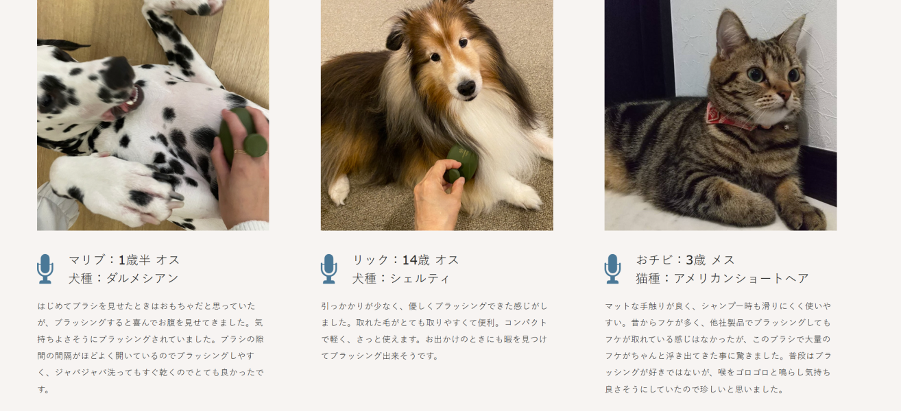 Palm Animaux-貓貓狗狗毛髮按摩梳 