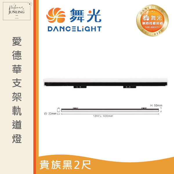 【舞光】愛德華軌道支架燈-貴族黑 