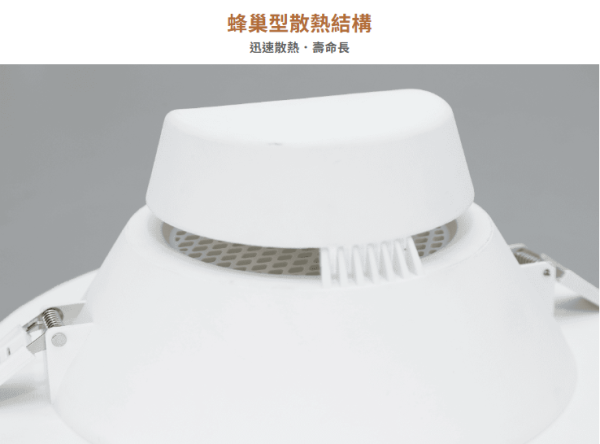 【舞光】21公分索爾崁燈 