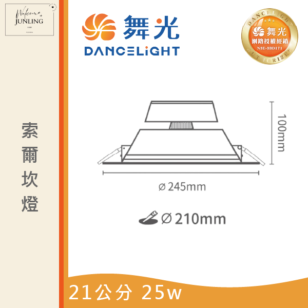 【舞光】21公分索爾崁燈 