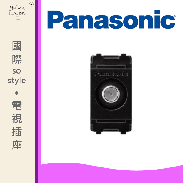 【國際】埋入式電視插座-霧色 