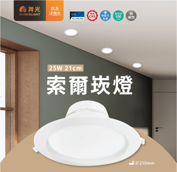 【舞光】21公分索爾崁燈 