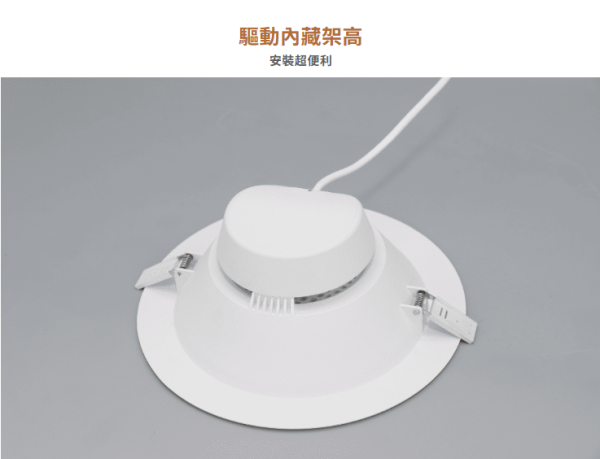 【舞光】21公分索爾崁燈 