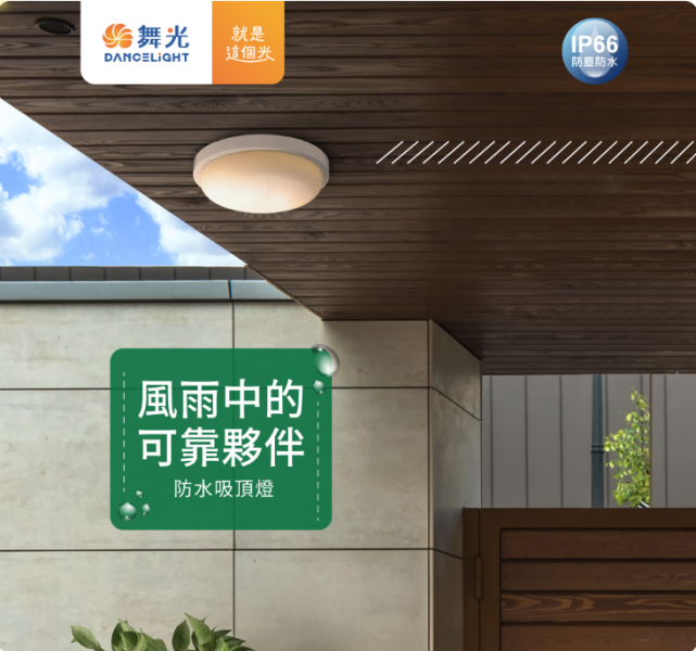 【舞光】防水吸頂燈 