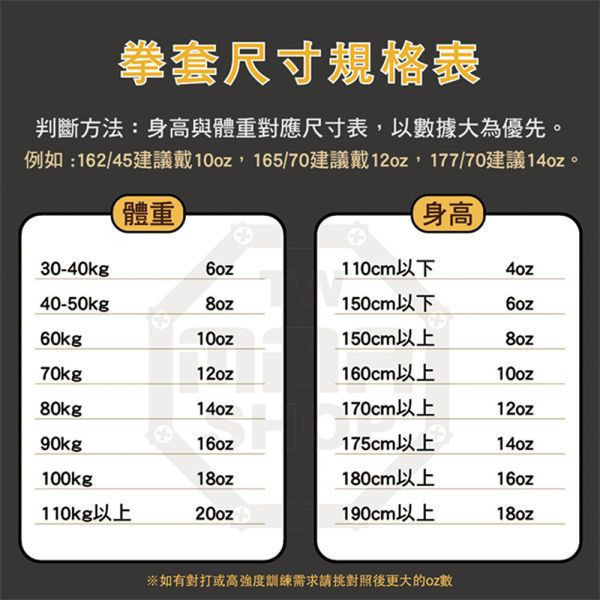 FAIRTEX BGVG3榮耀系列拳套-白 