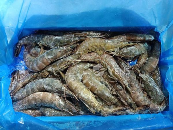 金磚白蝦(40/50) 