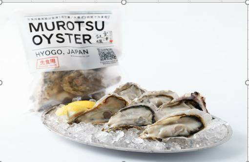 日本生食級-兵庫全殼生蠔 