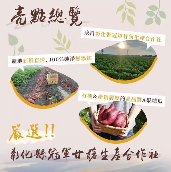 冰烤番薯｜三色冰心地瓜 