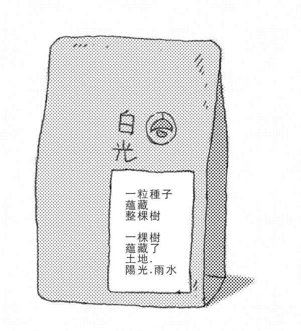 衣索比亞 耶加雪啡 果丁丁 天使藝妓 水洗 