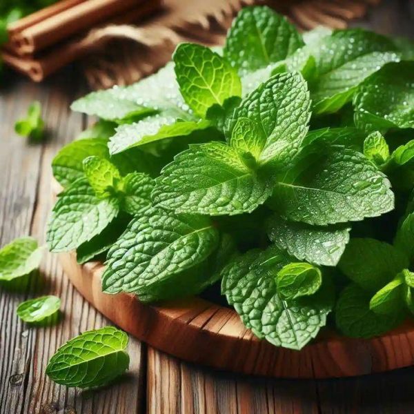 薄荷精油滾珠 薄荷精油滾珠 薰衣草、杜松、迷迭香、檸檬香膏、松樹、羅勒、黑胡椒、絲柏、尤加利、天竺葵
薄荷精油清新、清涼的氣味讓人耳目一新,自帶「薄荷」的草本香甜