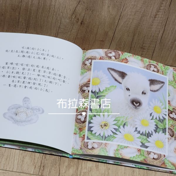 【生活品德教育繪本】共六本 生活品德教育繪本,上人文化,繪本,故事書,晚安故事,小動物,親子共讀,幼兒園,