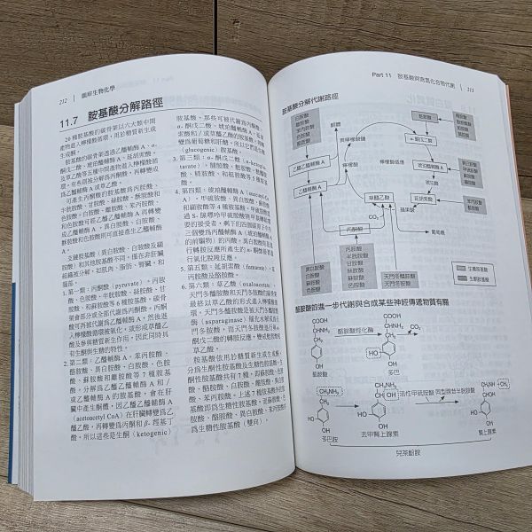 【圖解生物化學】 圖解生物化學,五南圖書,圖解系列,醫護,藥學,化學,食品科學,營養,生技,農學,水產,環境,公共衛生,生物學,基礎科學,製藥,醫學,營養學,生物技術,