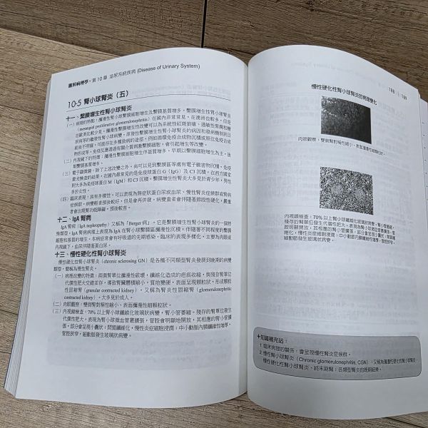 【圖解病理學】 圖解病理學,圖解系列,五南圖書,病理,醫護相關科系,研習醫護通識課程,醫護相關職場,考試,證照