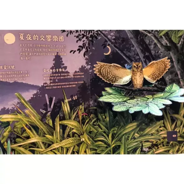 法布爾昆蟲記立體書 法布爾昆蟲記立體書 ,立體書昆蟲時報出版社法布爾玩具書收藏