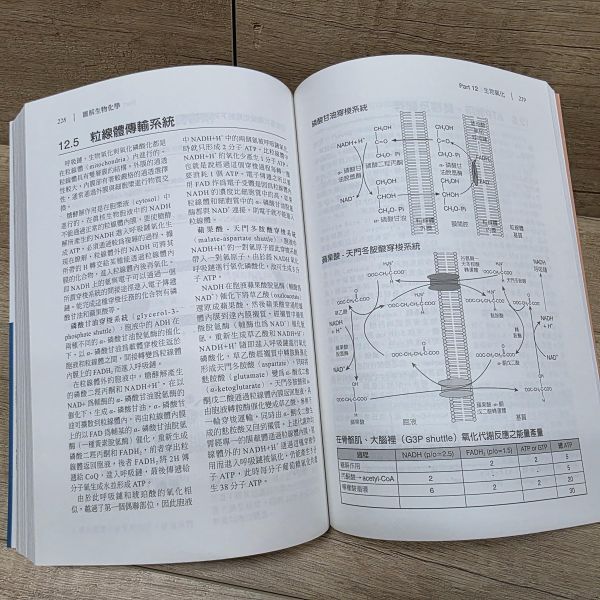 【圖解生物化學】 圖解生物化學,五南圖書,圖解系列,醫護,藥學,化學,食品科學,營養,生技,農學,水產,環境,公共衛生,生物學,基礎科學,製藥,醫學,營養學,生物技術,