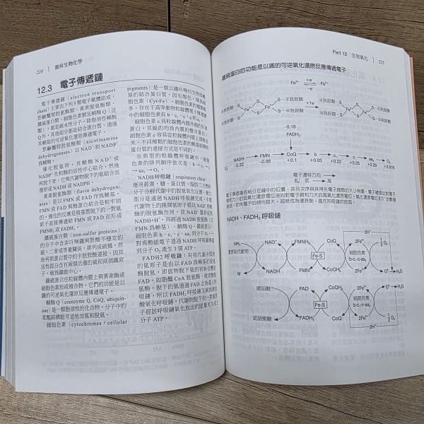 【圖解生物化學】 圖解生物化學,五南圖書,圖解系列,醫護,藥學,化學,食品科學,營養,生技,農學,水產,環境,公共衛生,生物學,基礎科學,製藥,醫學,營養學,生物技術,