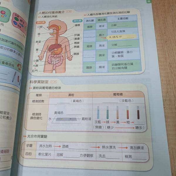 【大滿貫複習講義】-國中114年會考 大滿貫,複習講義,國中,114年會考,國文,英語,數學,地理,理化,地球科學,公民,歷史,