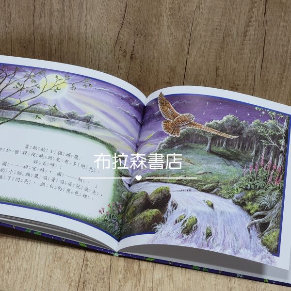 【生活品德教育繪本】共六本 生活品德教育繪本,上人文化,繪本,故事書,晚安故事,小動物,親子共讀,幼兒園,