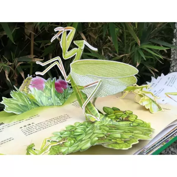 法布爾昆蟲記立體書 法布爾昆蟲記立體書 ,立體書昆蟲時報出版社法布爾玩具書收藏
